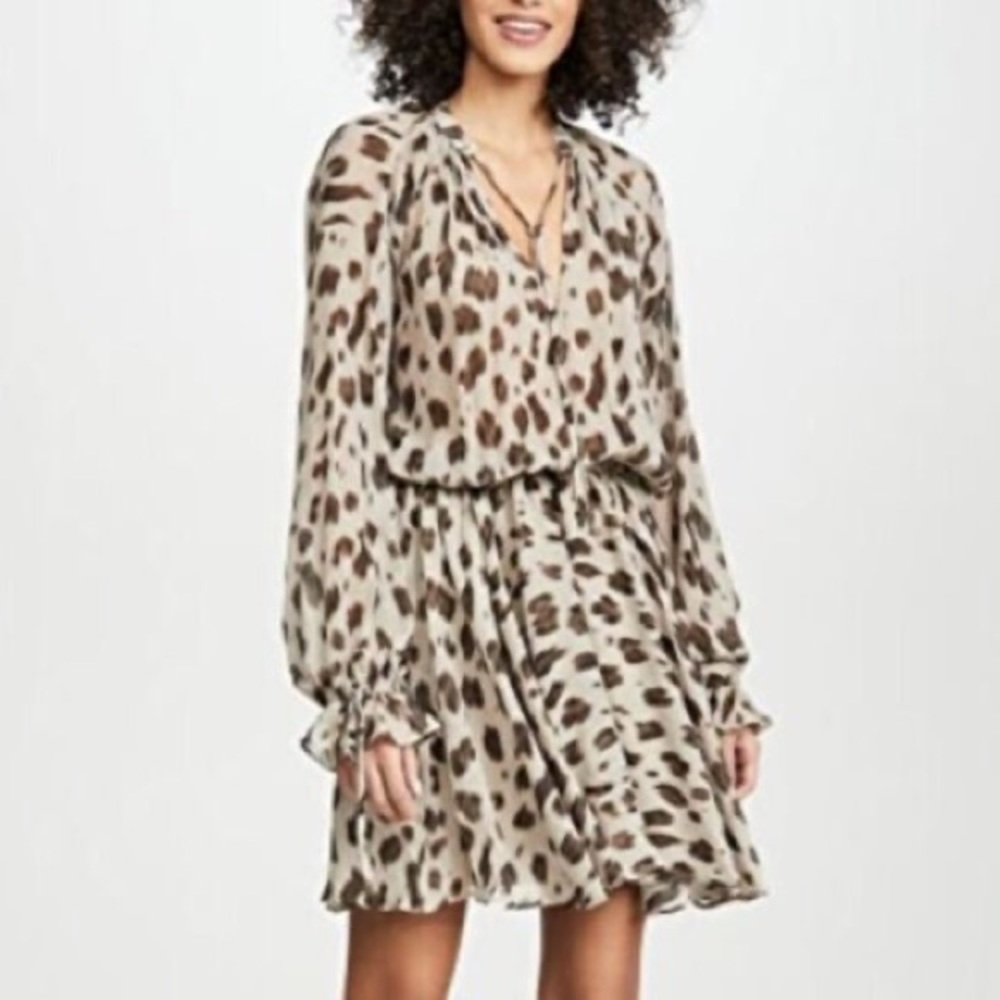 Anine Bing Elliana Leopard-print Silk Dress, Medium